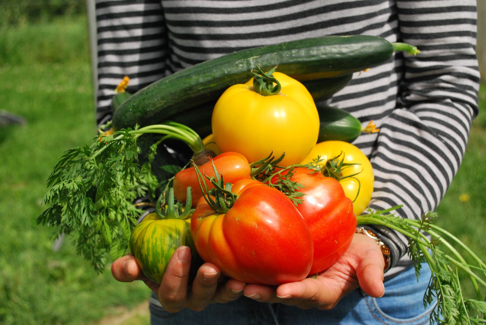 growing vegetables