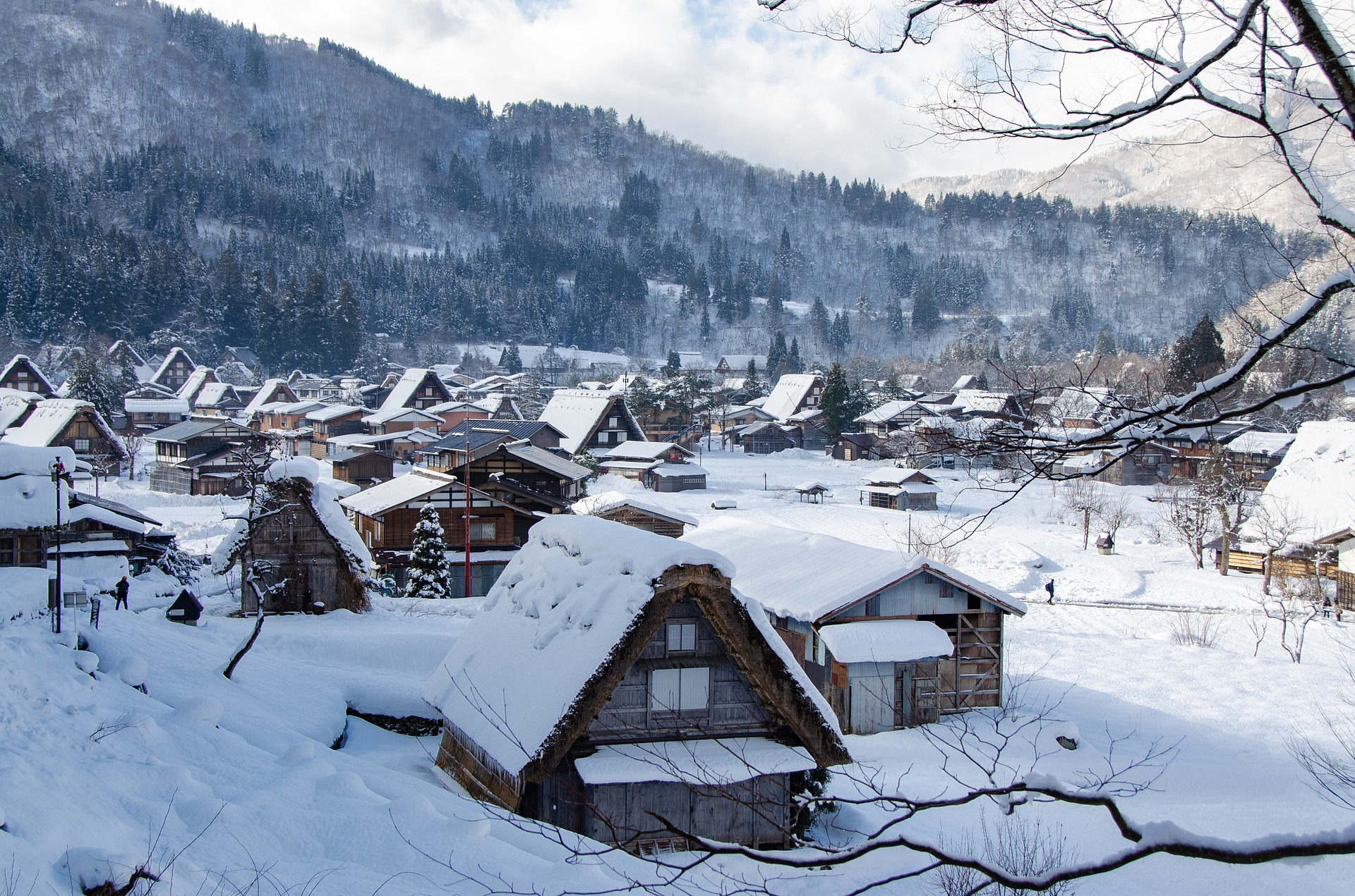 central japan