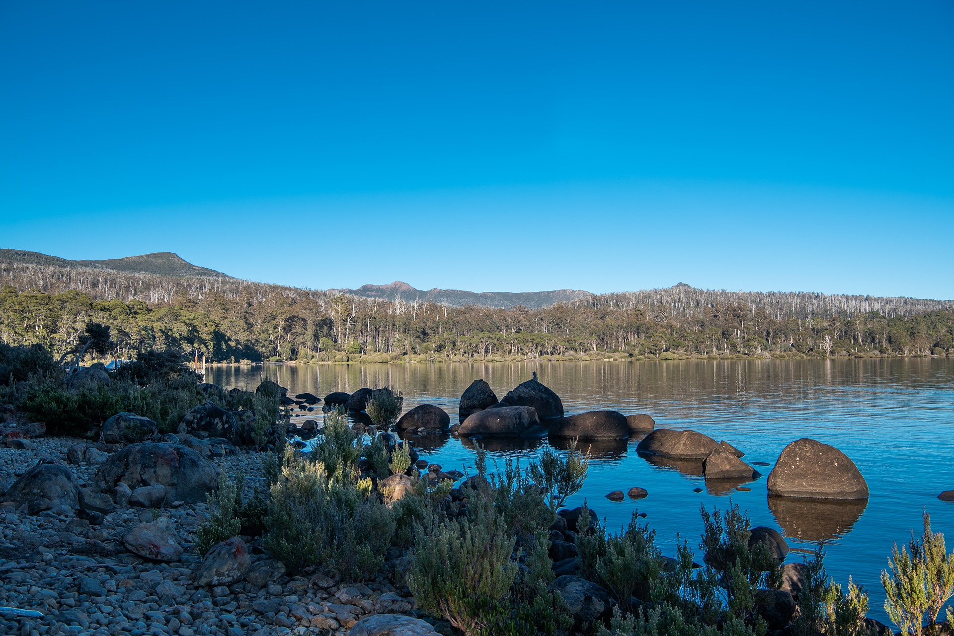 Tasmania