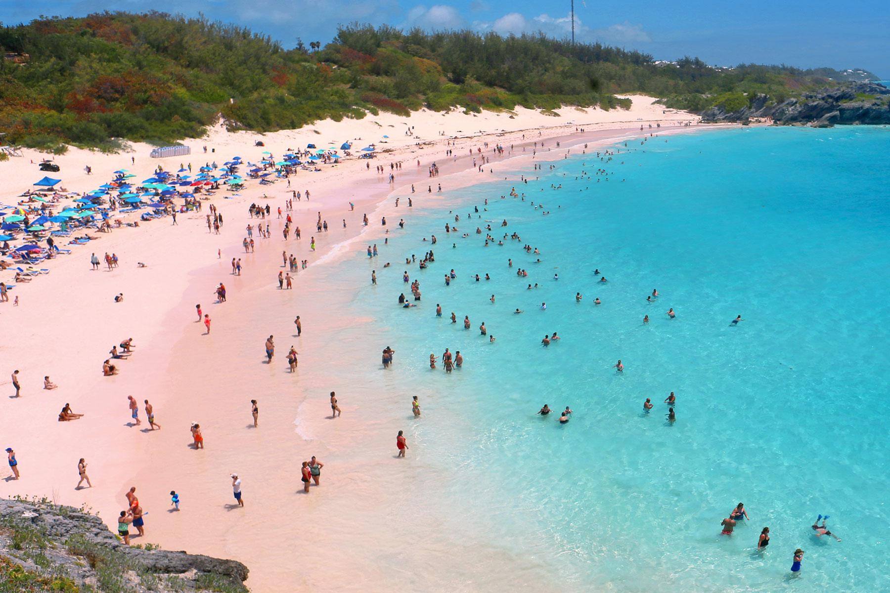 Horseshoe Bay Beach Bermuda