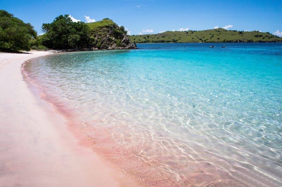 Komodo Island Indonesia