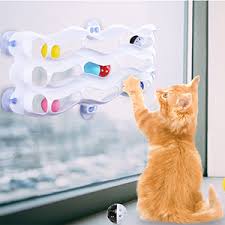 cat toy