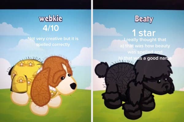 webkinz