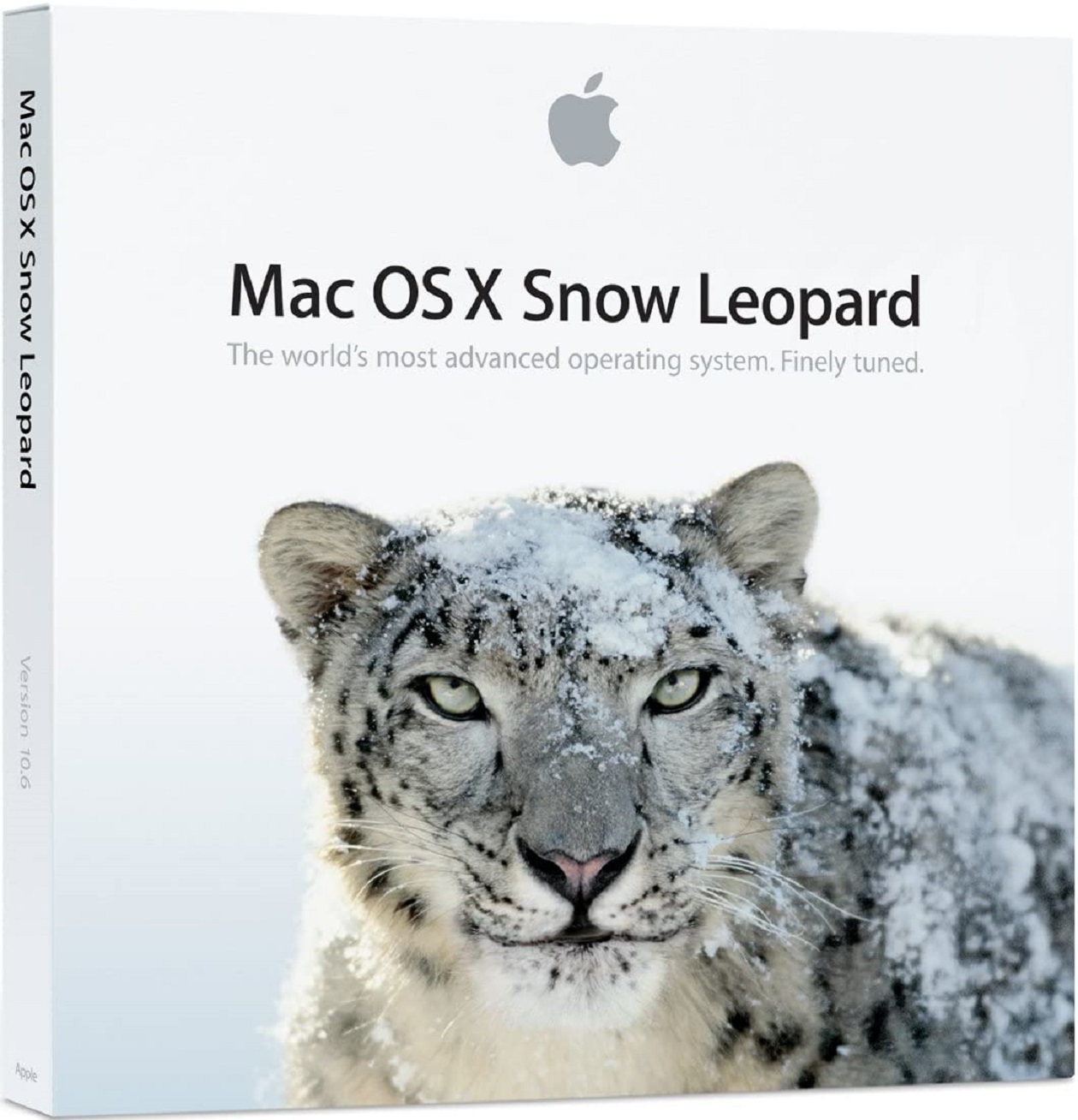 snow leopard