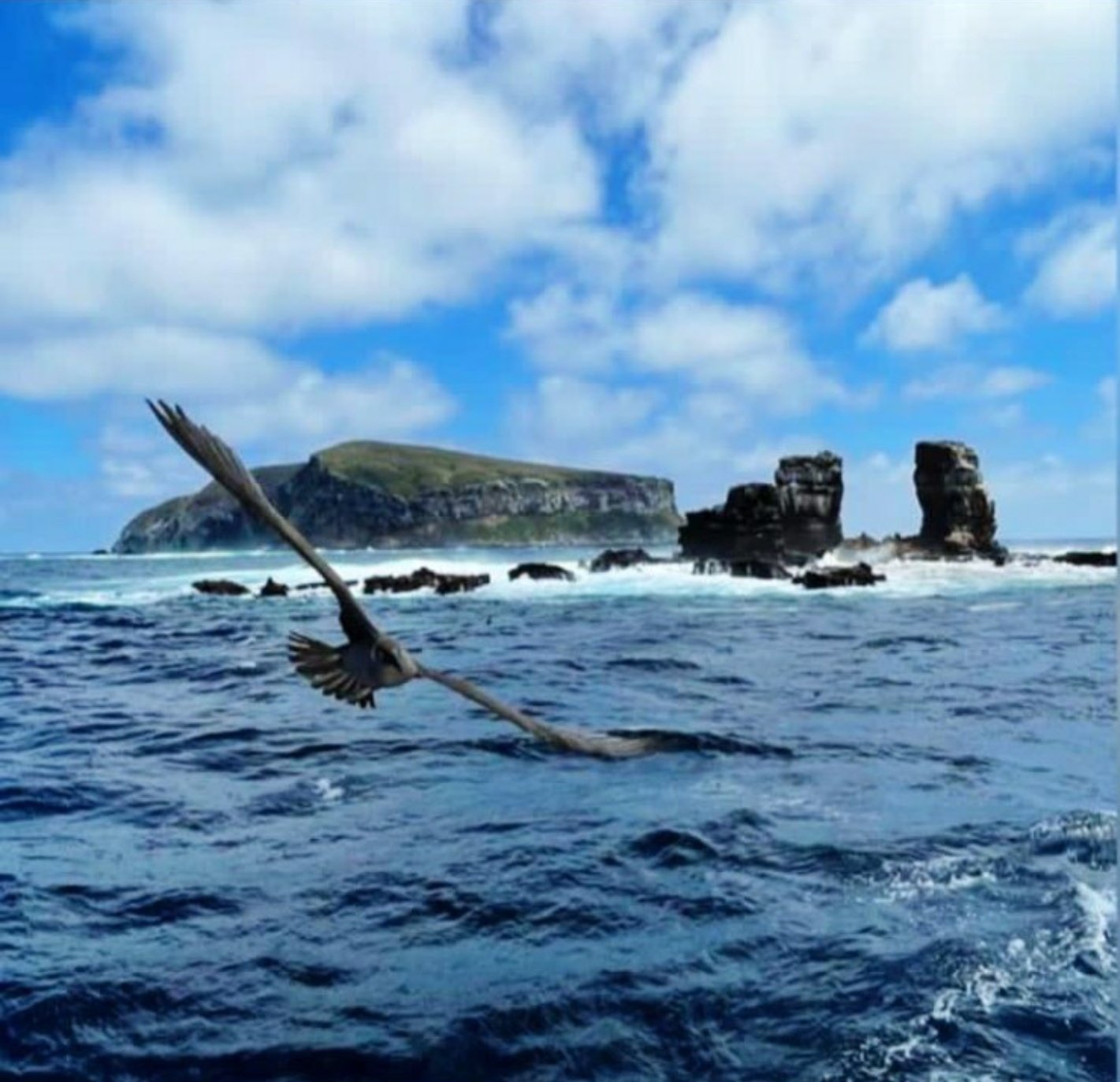 Off the Galapagos: the collapse of Darwins Arch